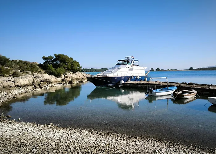 Motor Boat Paloma Rea
