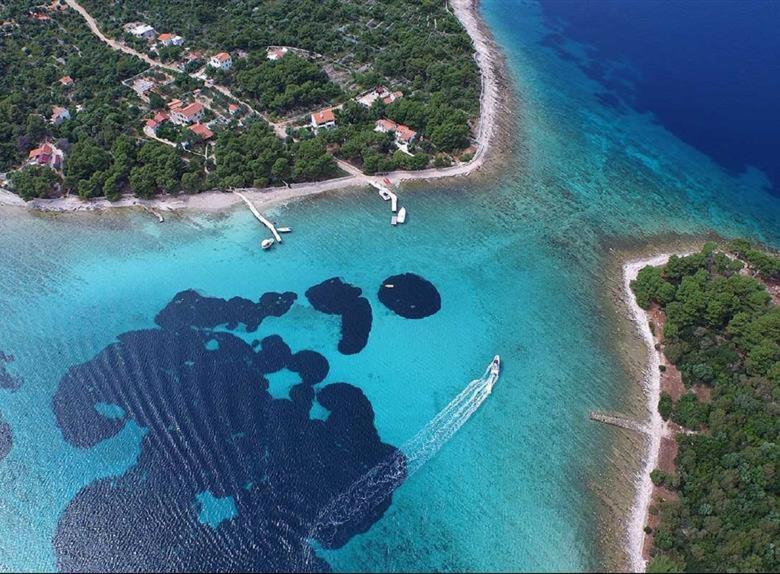 Botel Motor Boat Paloma Rea *